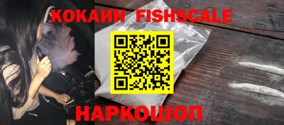 гидра Новозыбков