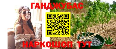 гидра Новозыбков