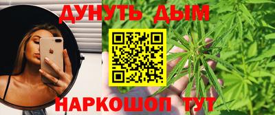 гидра Новозыбков