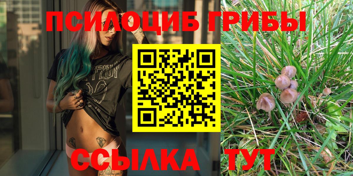 Псилоцибиновые грибы MAGIC MUSHROOMS Сокол