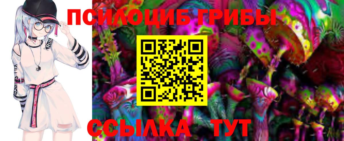 Псилоцибиновые грибы Magic Shrooms  наркошоп  Сокол  Вход с VPN 